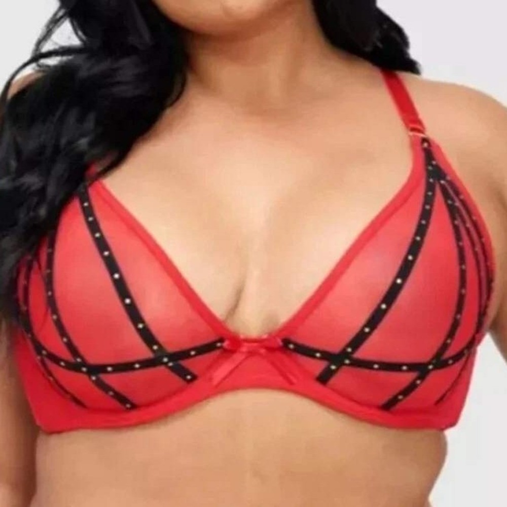 Frederick's of Hollywood Rozlyn Bra 32DD Red Mesh Sheer Underwire NWT Sexy - Picture 3 of 6